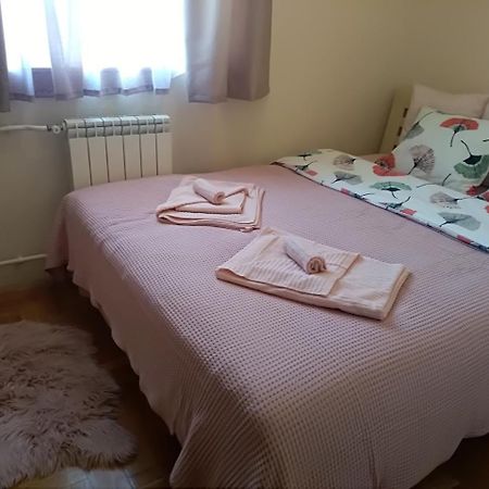 Apartman Nina Vojvode Stepe Vozdovac Voždivac 外观 照片